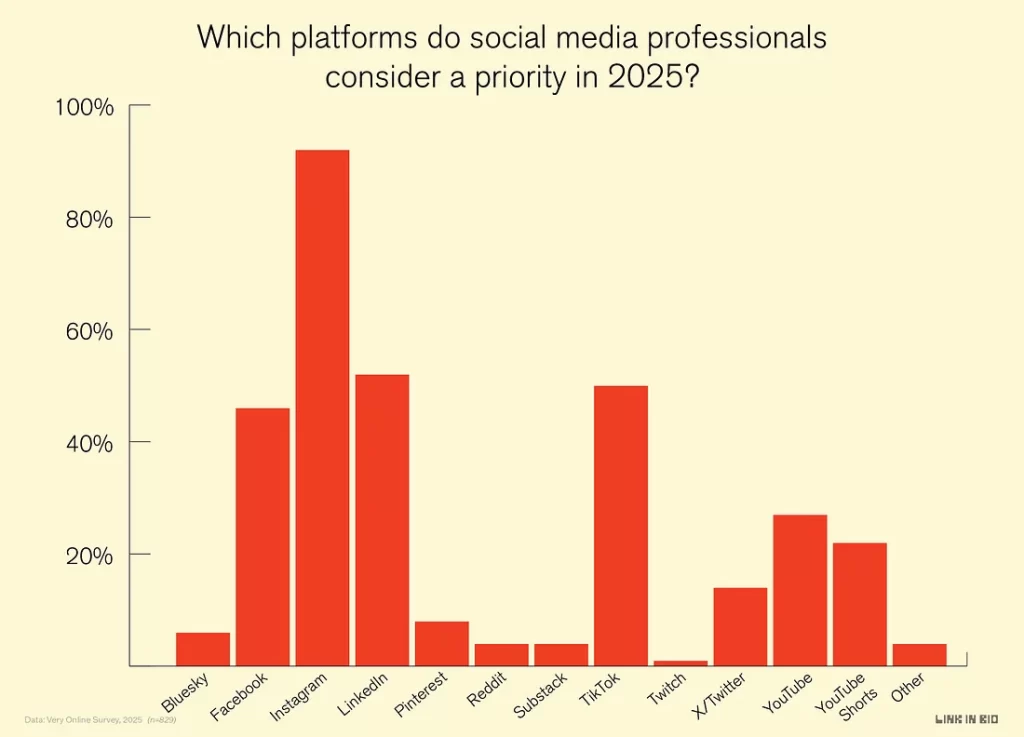 Which platforms do social media professionals consider a priority in 2025?